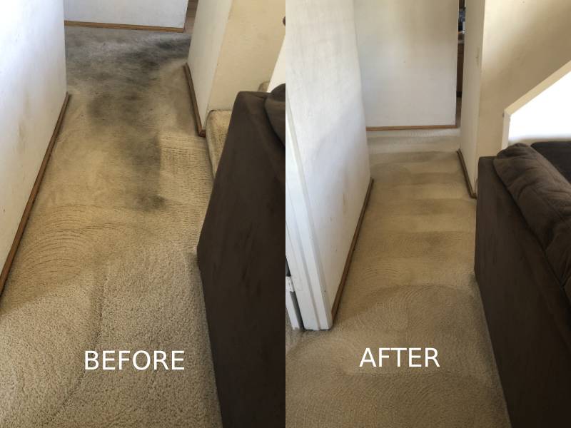 Before and after carpet cleaning